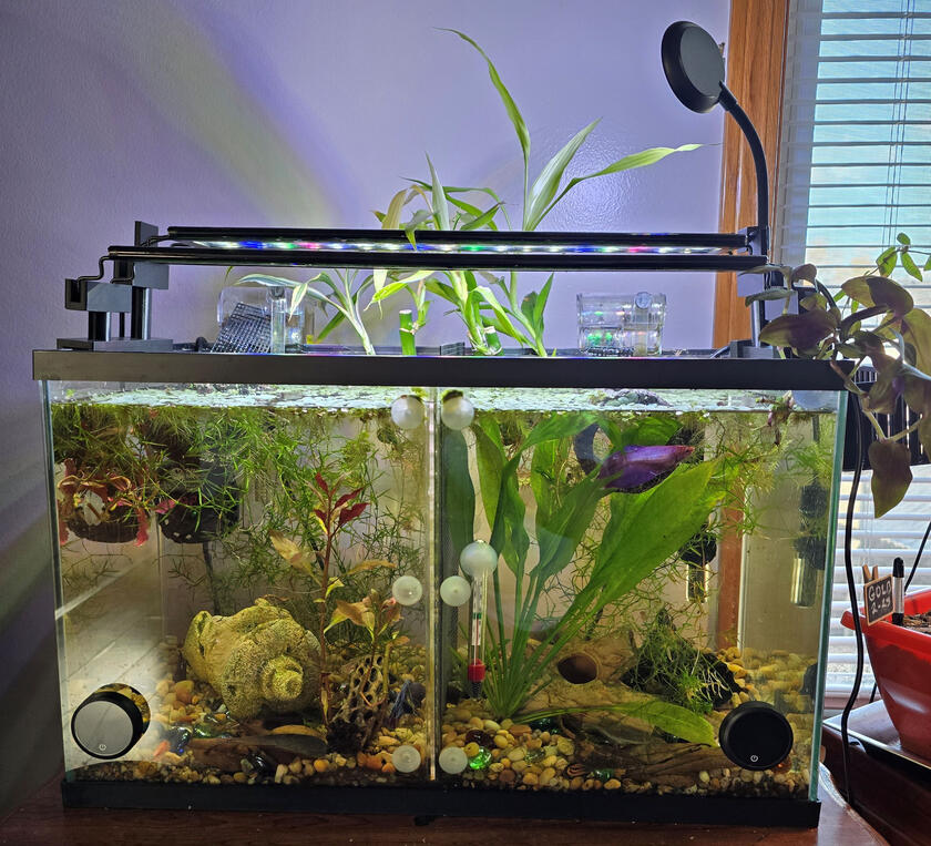 Aqua Hydroponic Aquarium KIT