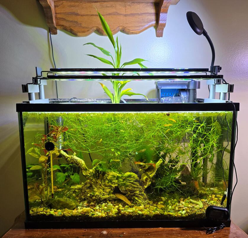 Aqua Hydroponic Aquarium KIT